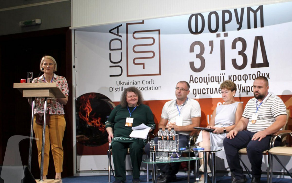 Доповідь Катерини Камишевої