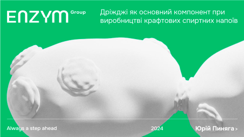 Дріжджі як основний компонент при виробництві крафтових спиртних напоїв